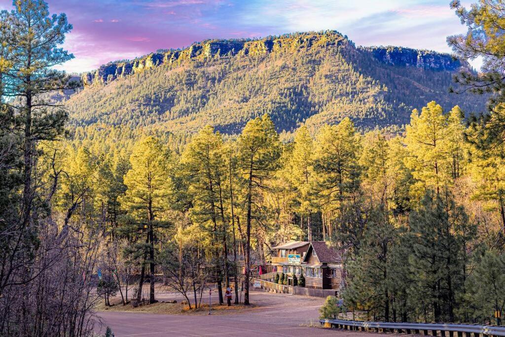 Forest Cabin 1 Hunters Blind Payson Exterior photo